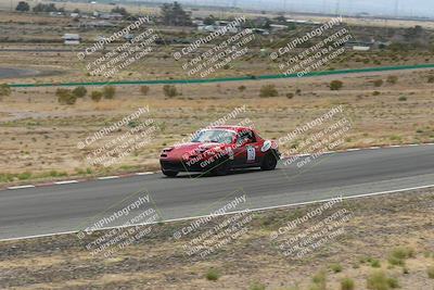 media/May-03-2025-Lucky Dog Racing (Sat) [[206de64b9d]]/Turn 6 (150pm-230pm)/